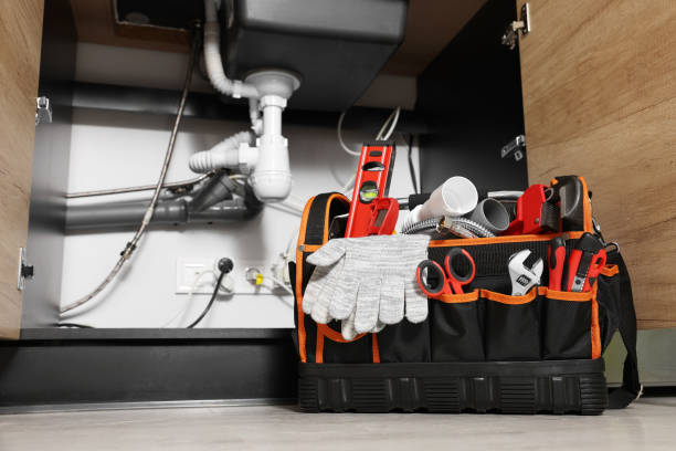 Best Water Softener Installation  in Bayou Vista, LA